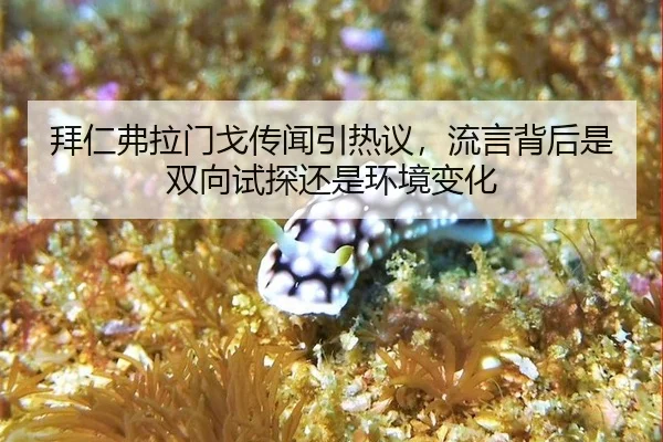 拜仁弗拉门戈传闻引热议，流言背后是双向试探还是环境变化